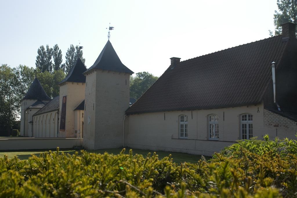 B&B Chateau Bagatelle Frasnes-lez-Anvaing Exterior foto