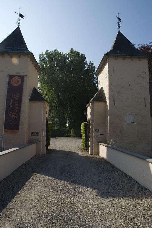 B&B Chateau Bagatelle Frasnes-lez-Anvaing Exterior foto