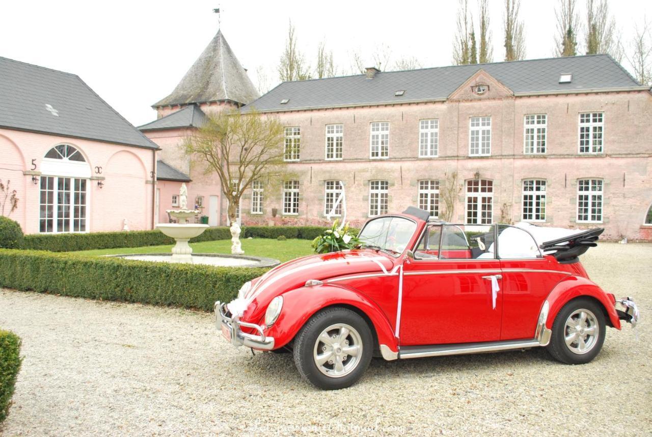 B&B Chateau Bagatelle Frasnes-lez-Anvaing Exterior foto